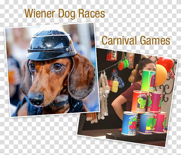 Old World German Restaurant Oktoberfest Dog Pet Party, oktoberfest woman transparent background PNG clipart