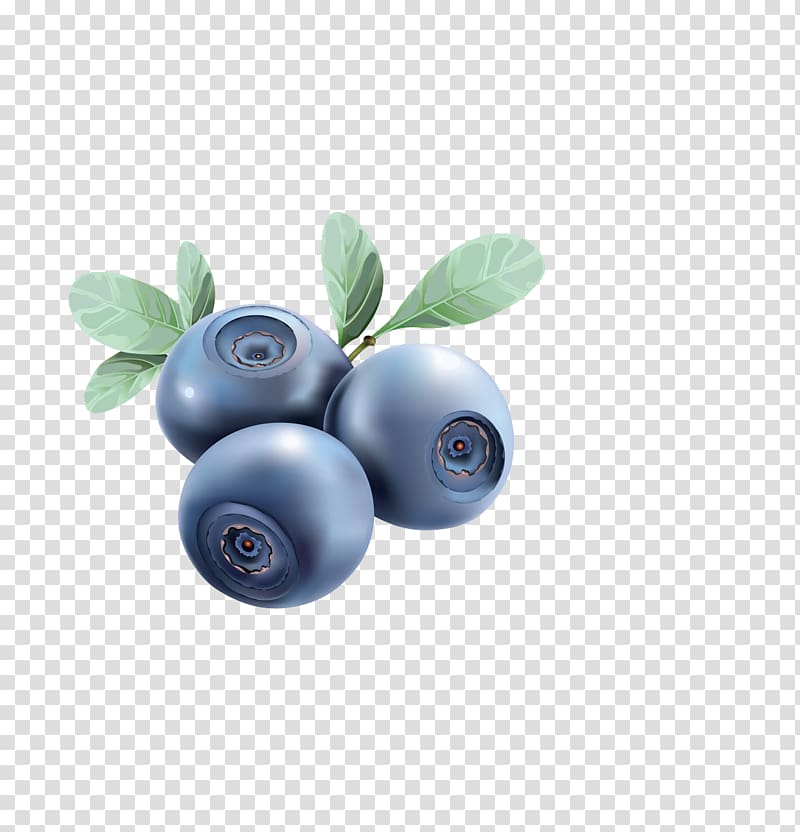 Blueberry Euclidean Food Illustration, Hand painted graphic design arbutin blueberry material transparent background PNG clipart