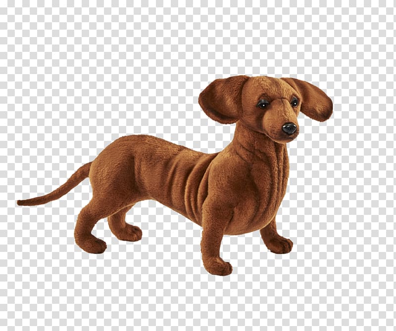 Dog breed Dachshund Puppy Companion dog Stuffed Animals & Cuddly Toys, dachshund cartton transparent background PNG clipart