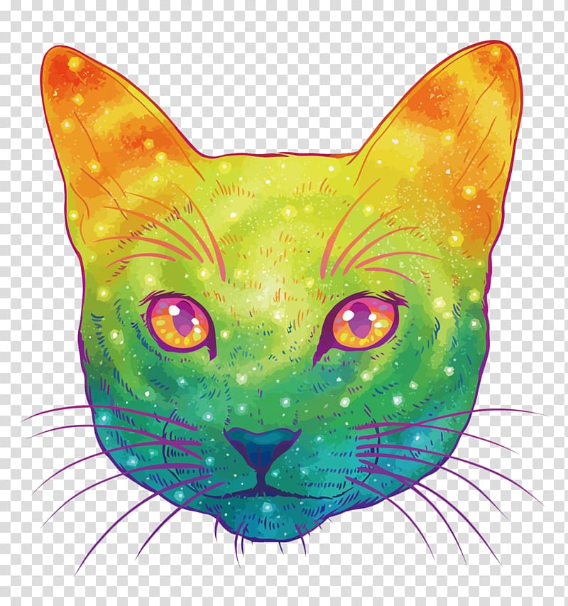 Cat Kitten Felidae Drawing Illustration, Colorful Cat transparent background PNG clipart