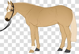 Mule Rein Mustang Horse Harnesses Bridle transparent background PNG clipart thumbnail