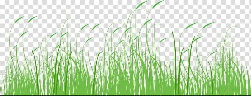 Fathers Day Sales promotion Festival Parent, Cartoon green grass transparent background PNG clipart