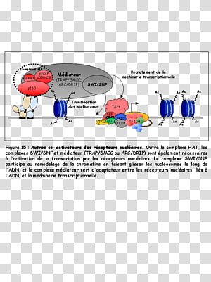 Line Font, design transparent background PNG clipart thumbnail