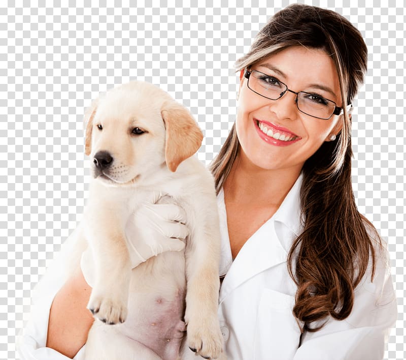 Dog Veterinarian Veterinary medicine Rahway Animal Hospital Veterinary pharmacy, Dog transparent background PNG clipart