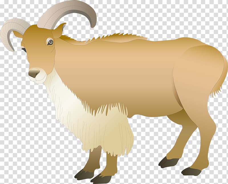 Barbary sheep Ahuntz Goat , sheep transparent background PNG clipart
