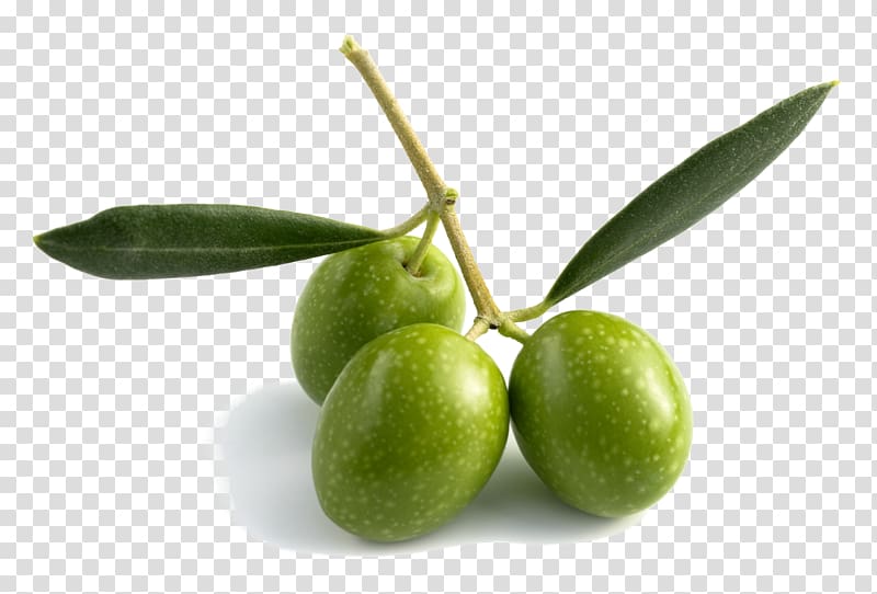 Olive oil Olive leaf Fruit, olive oil transparent background PNG clipart