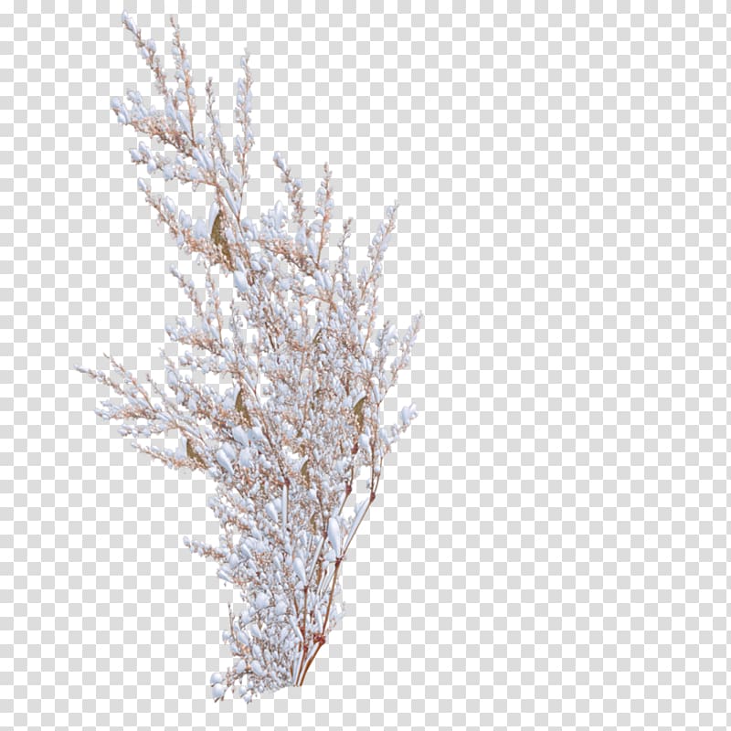 Snowflake Shrub Tree, snow tree transparent background PNG clipart