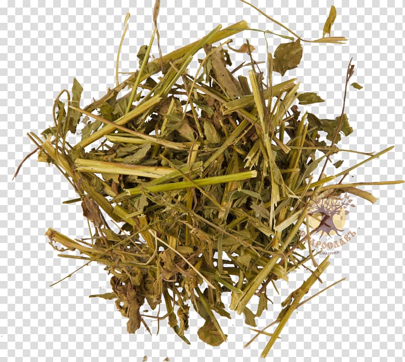 Hōjicha Herb Agrimonia eupatoria, others transparent background PNG ...