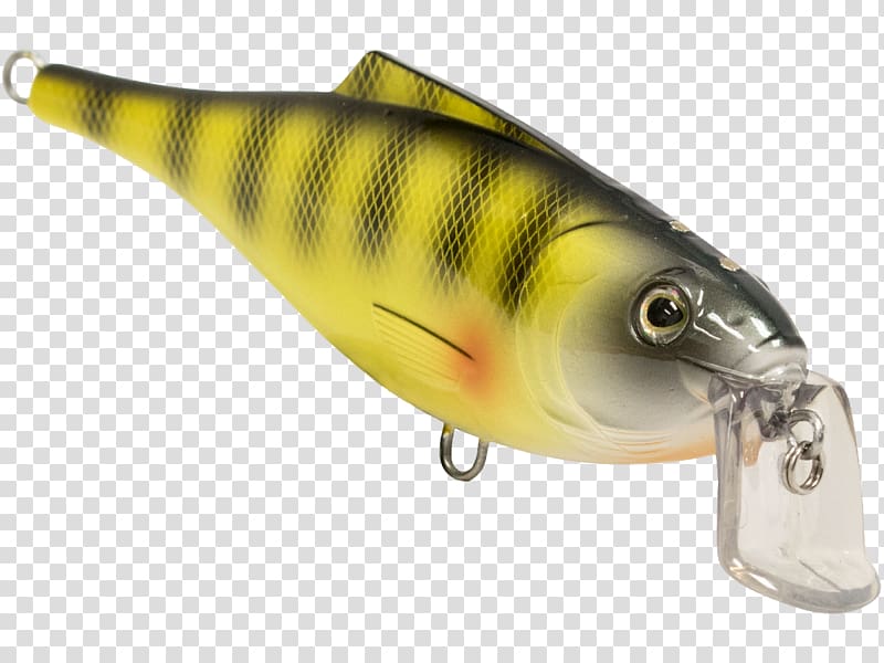 Perch Spoon lure Osmeriformes Oily fish, others transparent background PNG clipart