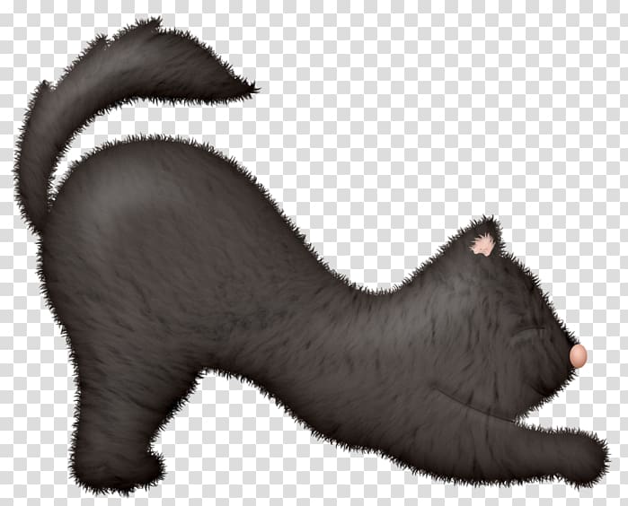 Whiskers Kitten Black cat Bear, Fuzzy Caterpillar transparent background PNG clipart