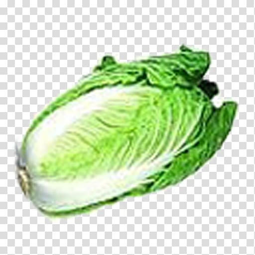 Chinese cabbage Napa cabbage Vegetable Melon, cabbage transparent background PNG clipart