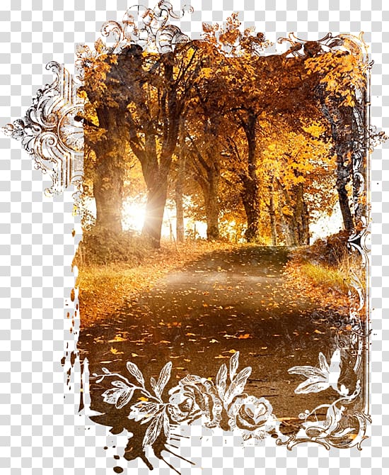 Road International Day of Forests Desktop , road transparent background PNG clipart