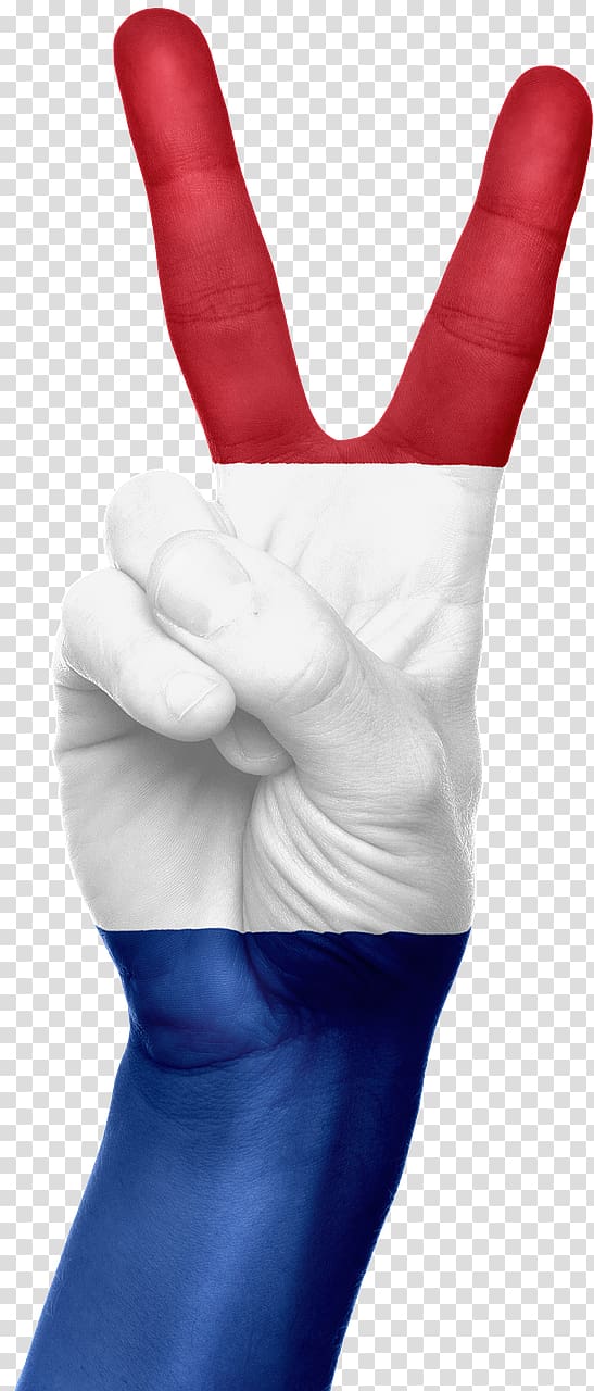 Flag of the Netherlands Dutch language English Language, dutch flag 1600 transparent background PNG clipart