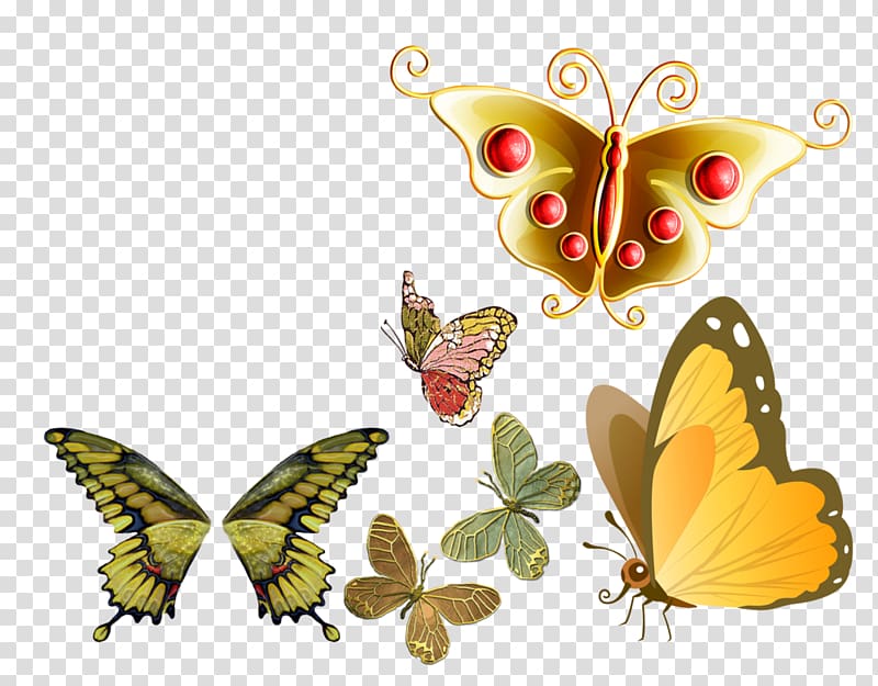 Butterfly Painting , butterfly transparent background PNG clipart