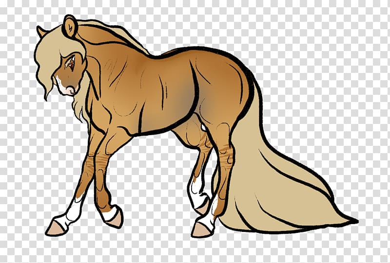 Foal Mustang Donkey Colt Stallion, barefoot transparent background PNG clipart