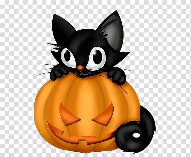 Black cat Halloween , Kitten and pumpkin transparent background PNG clipart