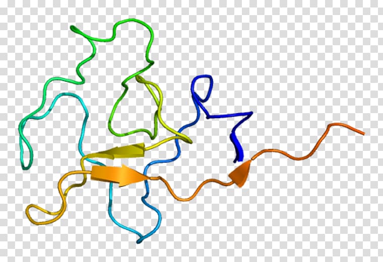 Lipoprotein(a) Blood Lipid Low-density lipoprotein, Blood Plasma transparent background PNG clipart