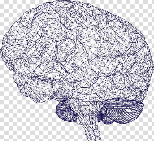Google Brain Artificial intelligence Computer Watson, Brain transparent background PNG clipart