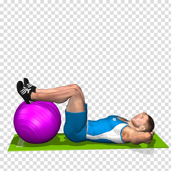 Exercise Balls Abdomen Human leg Crunch, fitness app transparent background PNG clipart