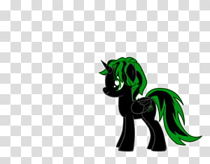 Cat Pony Horse , Cat transparent background PNG clipart thumbnail