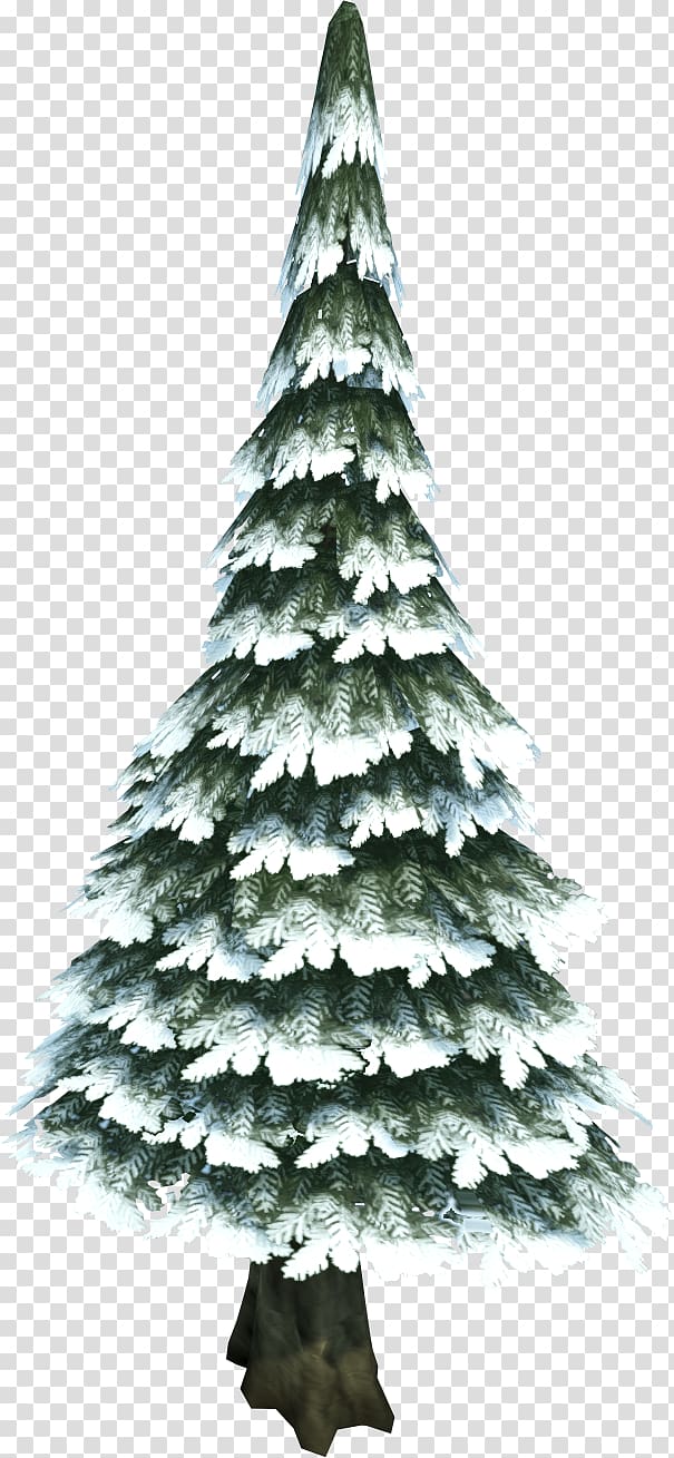 Pine Tree Evergreen Fir, snow tree transparent background PNG clipart