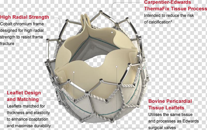 Heart valve Percutaneous aortic valve replacement Edwards Lifesciences, heart transparent background PNG clipart