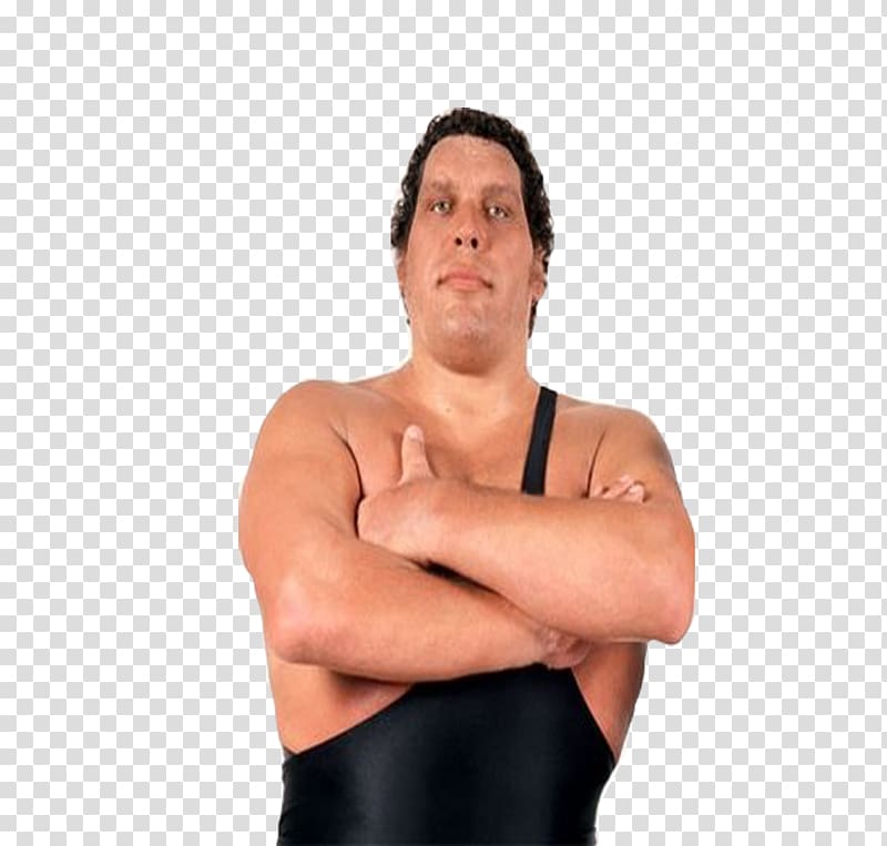 André the Giant Professional Wrestler Professional wrestling WWE World Championship Wrestling, wwe transparent background PNG clipart
