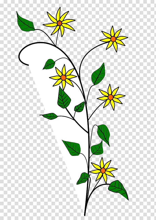 Flower Edelweiss , Motif transparent background PNG clipart
