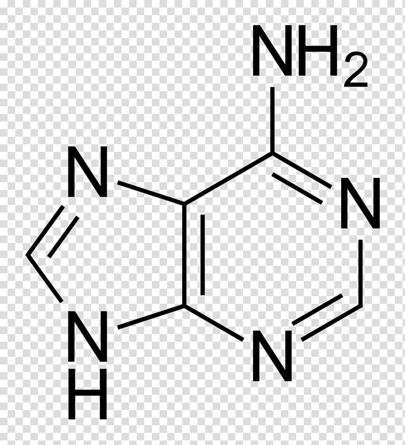 Adenine RNA Chemical structure Pyrimidine, Nitrogen ? transparent background PNG clipart