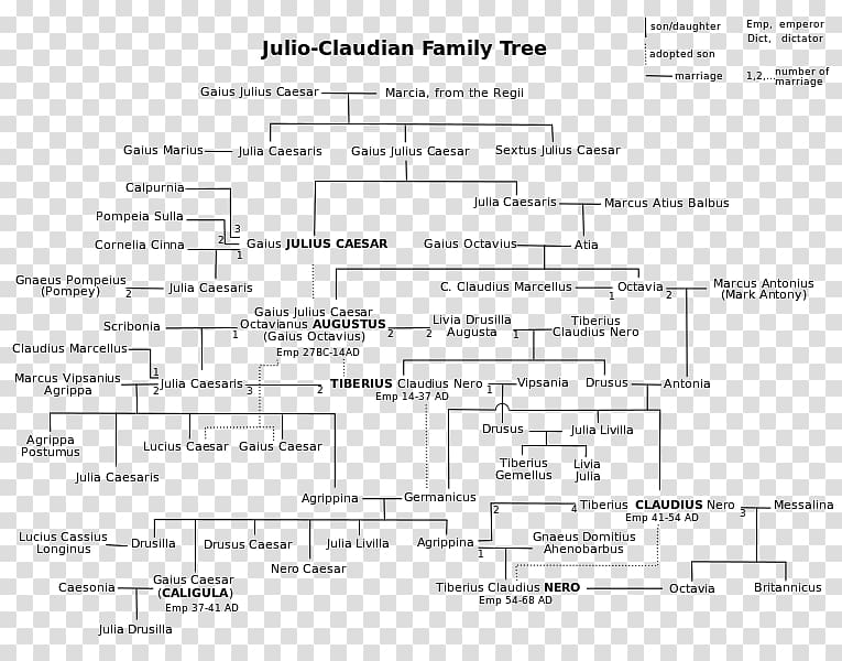 Roman Empire Julio-Claudian dynasty Ancient Rome Family tree, Family transparent background PNG clipart