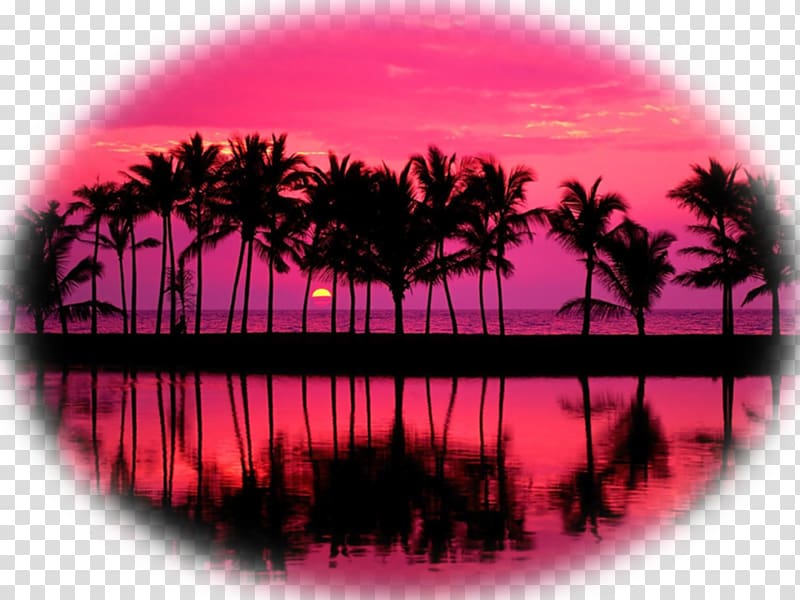 Sunset Sunrise, sunrise transparent background PNG clipart