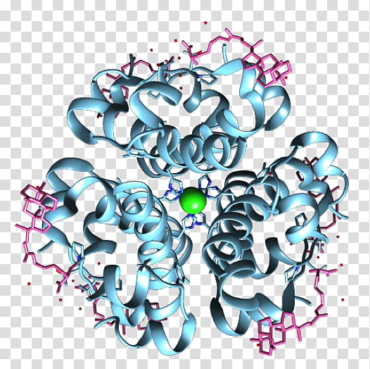 Angiotensin-converting enzyme ACE inhibitor Enzyme inhibitor, others transparent background PNG clipart