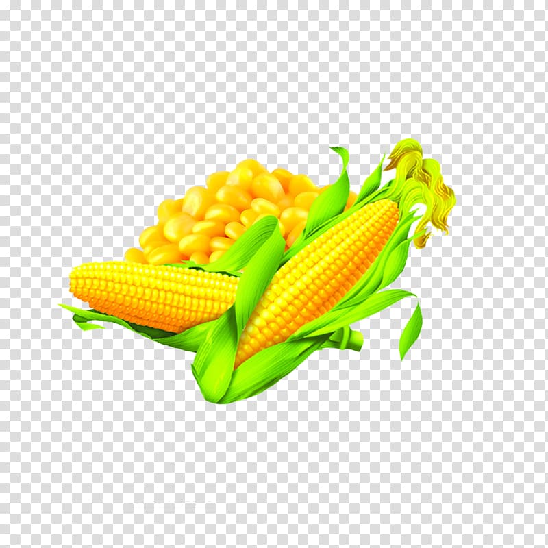 Corn on the cob Maize Corn oil Food, corn transparent background PNG clipart