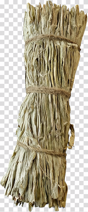 Wrapped Sage Smudge Bundle transparent background PNG clipart thumbnail