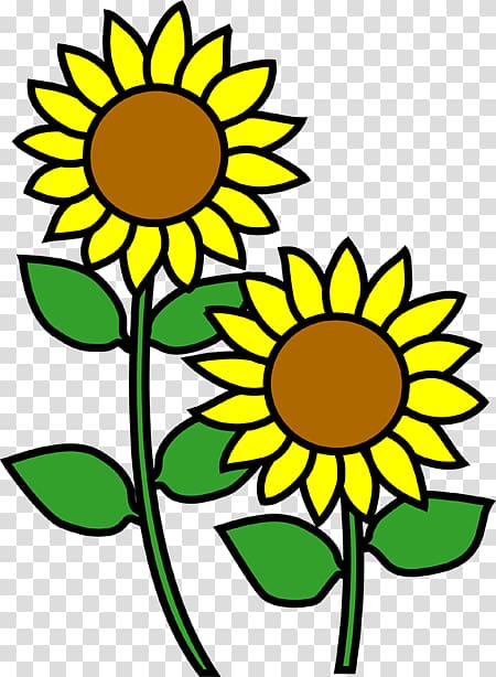 Common sunflower りゅうおうのおしごと! 7 , flower illust transparent background PNG clipart