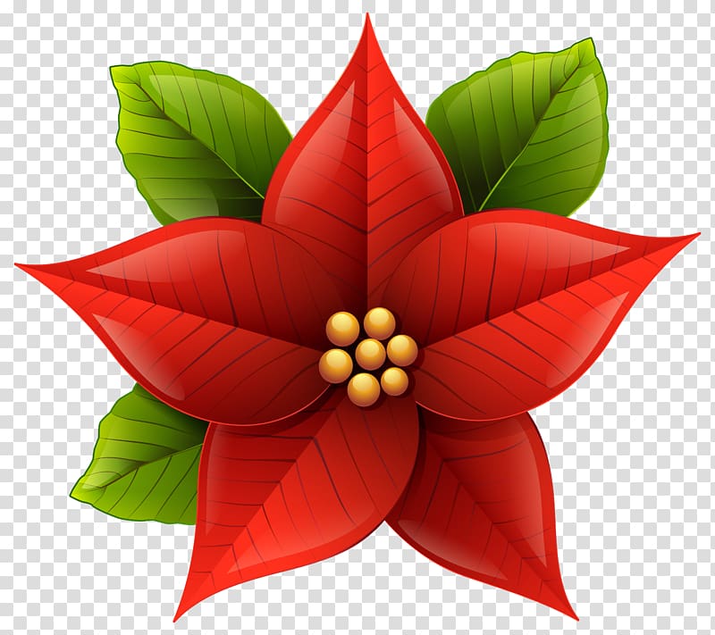 clipart poinsettia