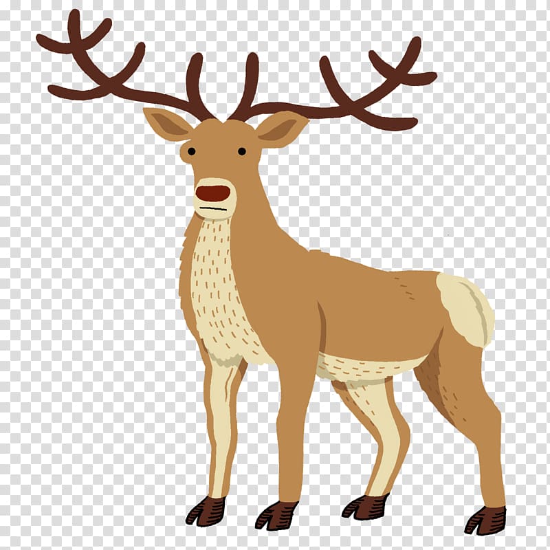 Reindeer Red deer Drawing Elk, correspondence transparent background PNG clipart