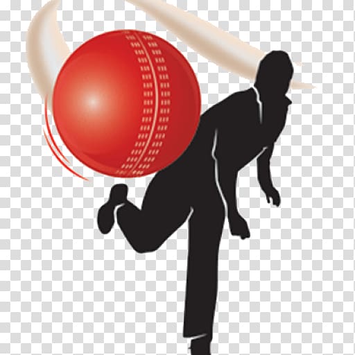 Indian Premier League Bowling (cricket) Cricket Balls Sport, cricket transparent background PNG clipart