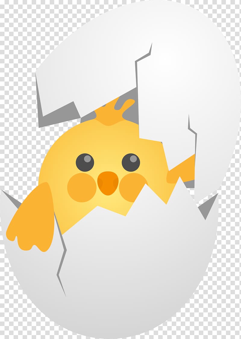 Chicken Egg Bird, Shell transparent background PNG clipart