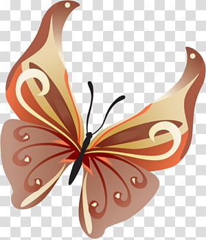 Digital , butterfly transparent background PNG clipart thumbnail