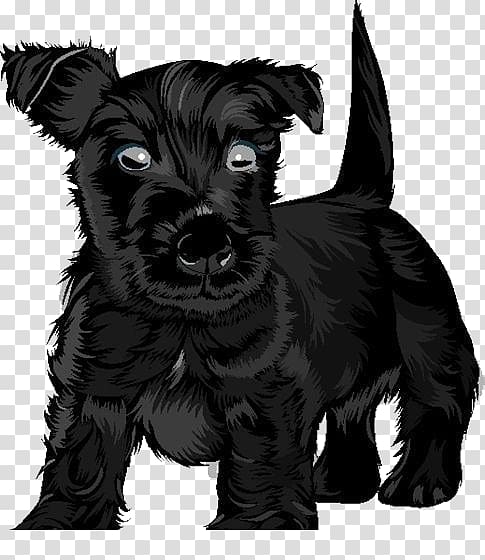 Scottish Terrier Black Russian Terrier Puppy , Textured black puppy transparent background PNG clipart