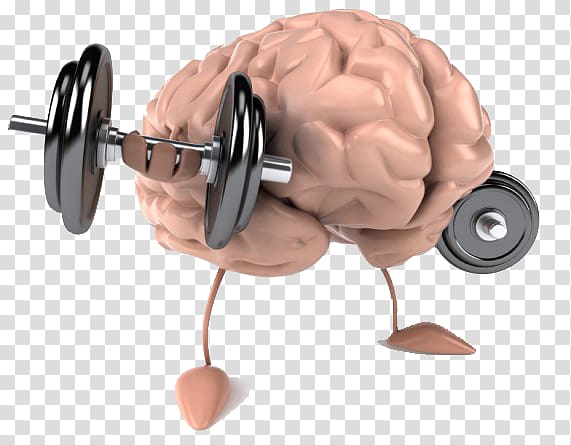 Brain Human body Mental health Healthy diet, brain power transparent background PNG clipart