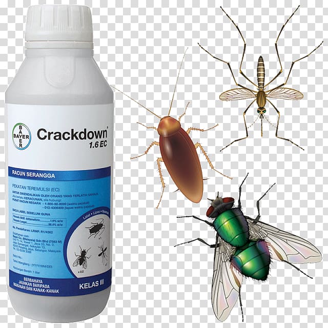Crackdown Insecticide Pest Mosquito, crackdown transparent background PNG clipart