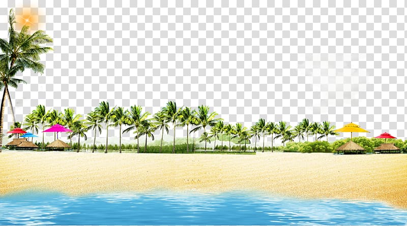 island illustration, Beach Coast Poster, Summer beach coconut grove play background transparent background PNG clipart