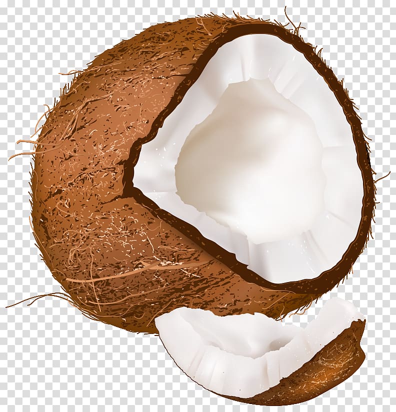 Coconut water Toto , coconut transparent background PNG clipart