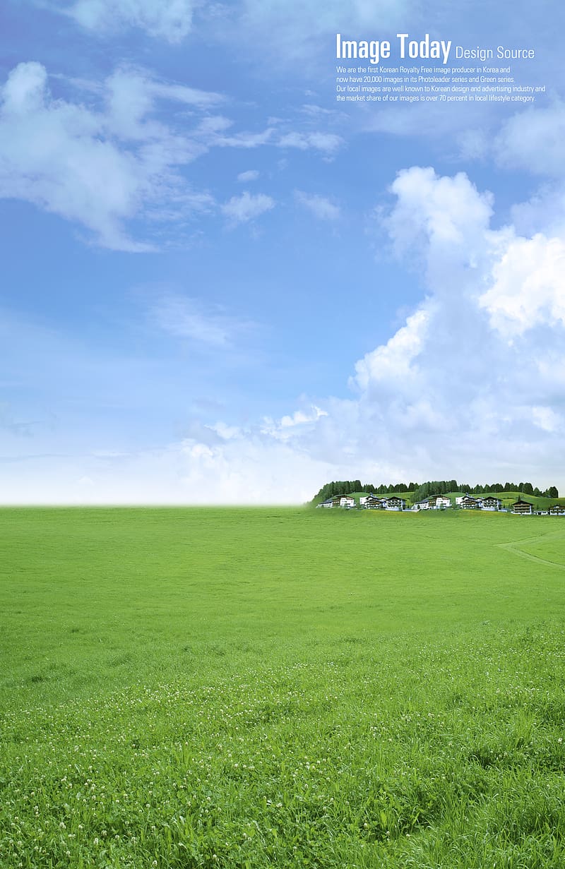 green grass during daytime, Icon, The vast sky background transparent background PNG clipart
