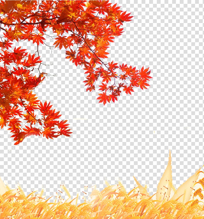 Creative autumn transparent background PNG clipart