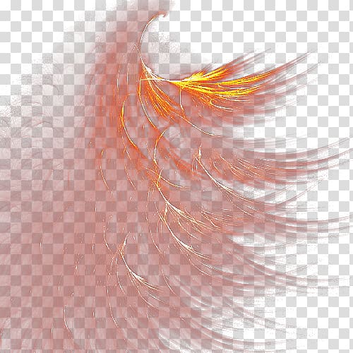 Feather , Feathers transparent background PNG clipart