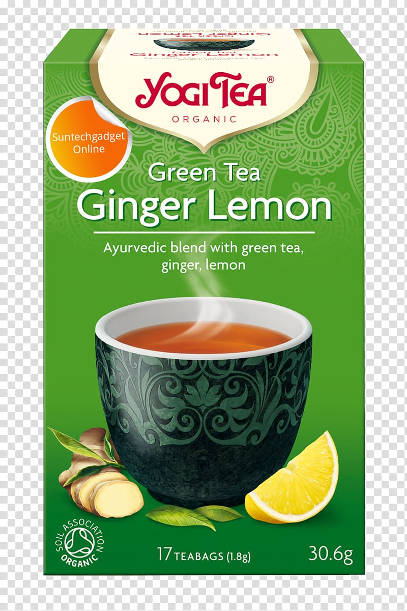 Green tea Masala chai Organic food Matcha, green tea transparent background PNG clipart