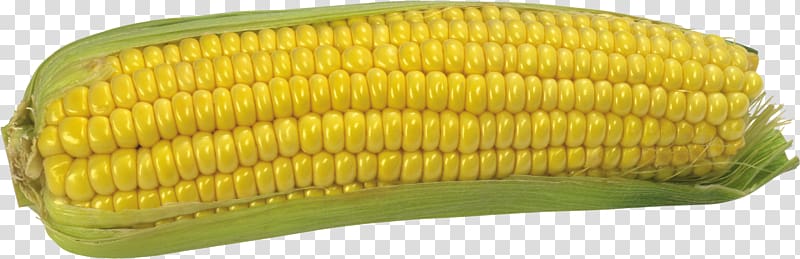 Maize , Fresh corn transparent background PNG clipart